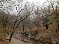 -北京西山国家森林公园