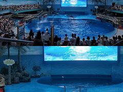 -海合安成都极地海洋公园