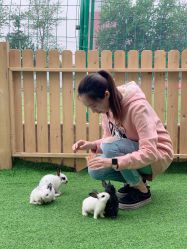 -萌宠亲子动物乐园(槐房万达店)