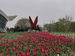 -石家庄市植物园