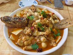 -煲来饱去冷水鱼