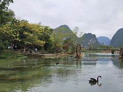 -靖西鹅泉风景区