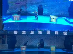 -鄂尔多斯野生动物园