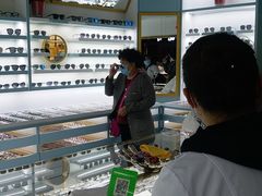 -潘多拉眼镜·蔡司依视路明月(潘家园店)