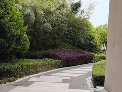 -上海崇明金茂凯悦酒店