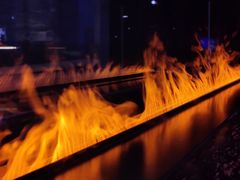 -博林天瑞喜来登酒店·西丽尚膳