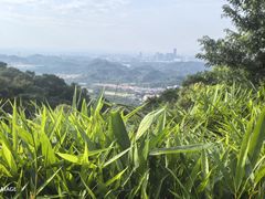 -水濂山森林公园