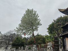 -宝通禅寺