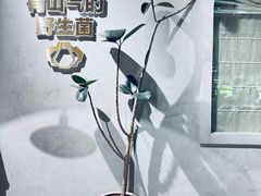 -花菇朵 ll 野生菌锅·精品滇菜(后沙峪店)