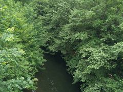 -阿哈湖国家湿地公园