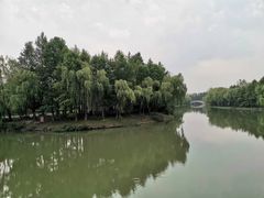 -自然谷恐龙园