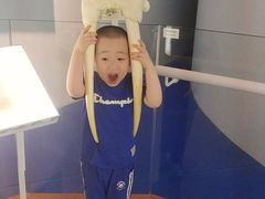 -自然博物馆新馆2楼餐厅