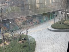 -油梨树AVOCADO TREE(望京店)