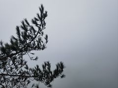 -千岛湖天屿景区