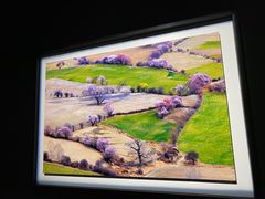 -罗红摄影艺术馆