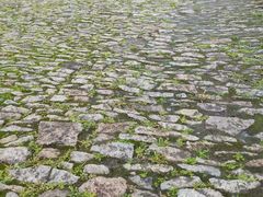 -半岛公馆(淞兴西路店)