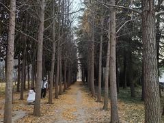 -洛阳市隋唐城遗址植物园