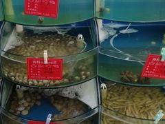 -晓伟海鲜家常菜