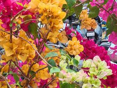 -佛山市中医院(院本部)