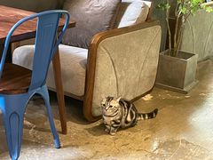 -咖法森林·咖啡  酒吧(天河店)