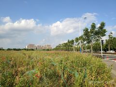 -皇粮浜湿地公园