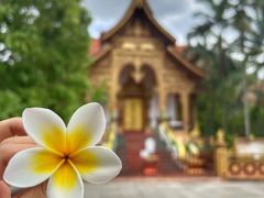 -曼听御花园