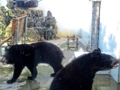 -广东茂名森林公园