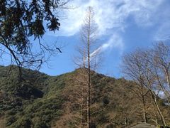 iphone_upload_pic-天明山温泉大酒店