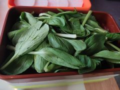 -福源药膳鸡(天润城店)