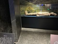 -亳州博物馆