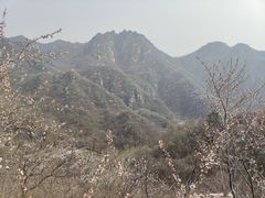 -大岭沟猕猴桃谷风景区