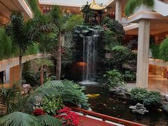 -广州白天鹅宾馆