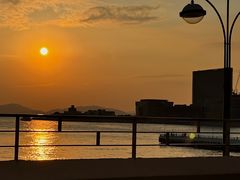-九龙公园