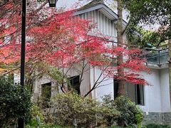 -杭州植物园