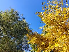 -长白岛森林公园