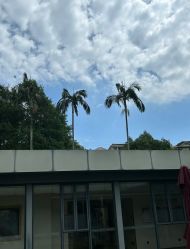 -爱帝宫月子中心(罗湖别墅院)