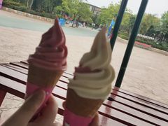 -厦门方特梦幻王国