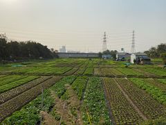 -会江钓鱼钓虾烧烤场