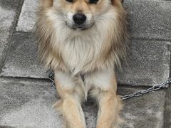 -泰州凤城河风景区-泰山公园