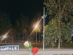 -宝荣鱼馆·临湖之宴(千岛湖店)