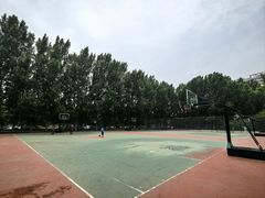 -五环公园