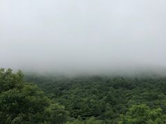 -秦岭风景区