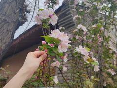 -ZIYUE CAKE线上店
