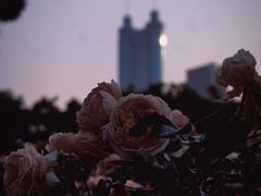 -人民公园(罗湖区)