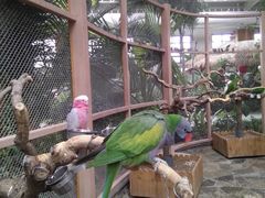 -南宫五洲植物乐园