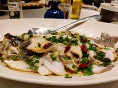 -龙猫意杯花园餐厅(芙蓉湖店)