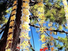 -九鼎铁刹山风景区
