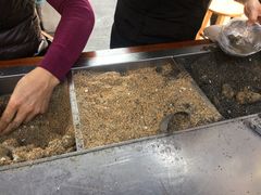 -叶氏麻糍(鼓浪屿店)