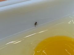 -香麒园·过桥米线·南湖雅宴