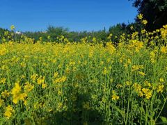 -长春公园(普阳街道)